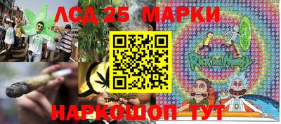 прущие грибы Гусев