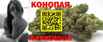 прущие грибы Гусев