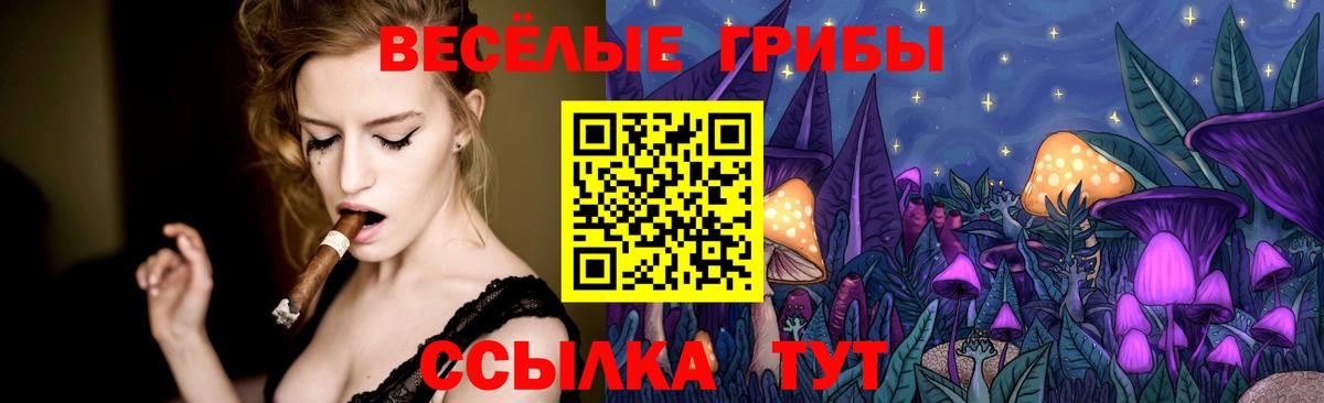 Галлюциногенные грибы Psilocybe  Вход с VPN  Мценск  Псилоцибиновые грибы GOLDEN TEACHER 